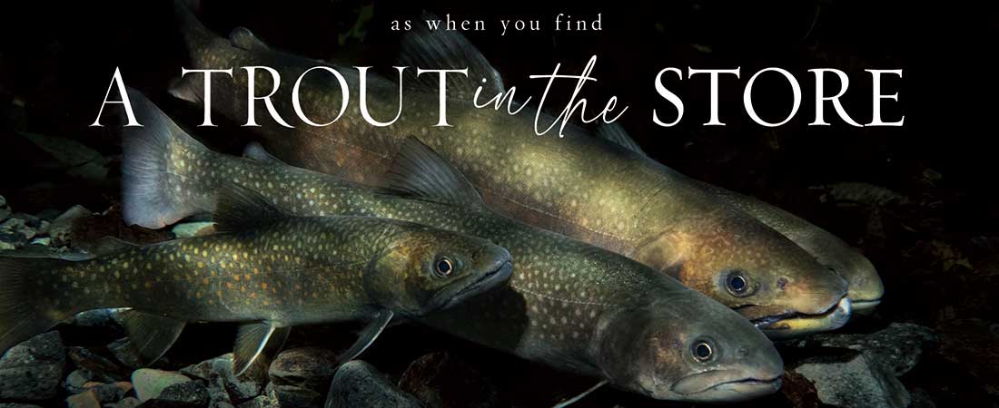 A TROUT in the STORE