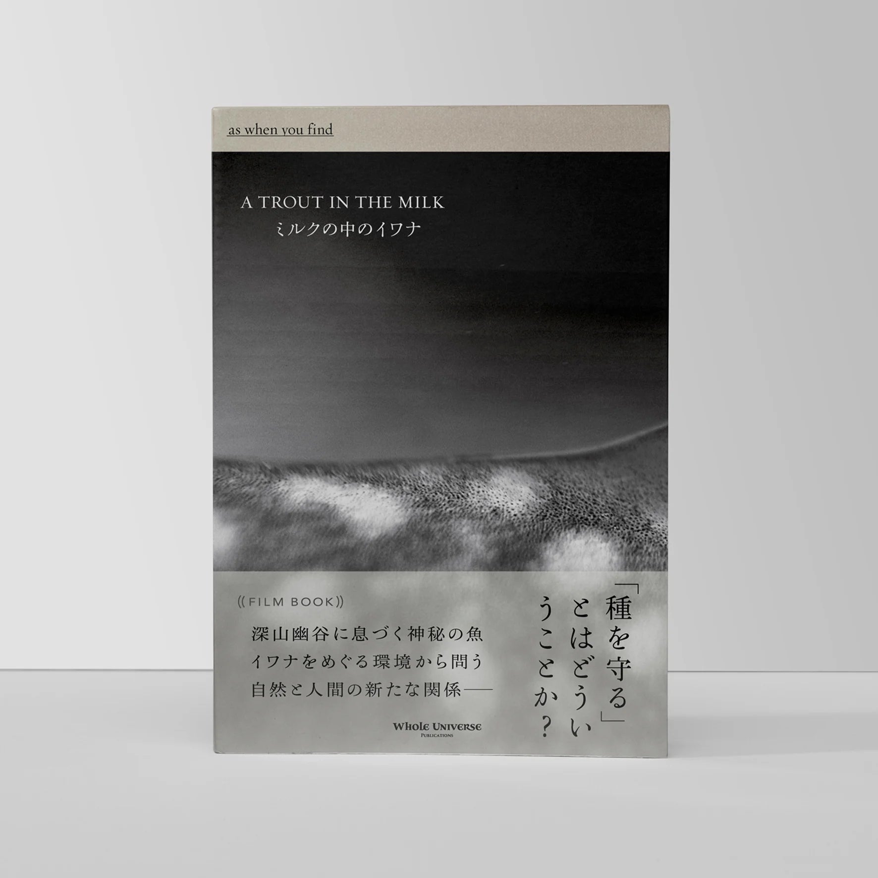 ミルクの中のイワナ film book