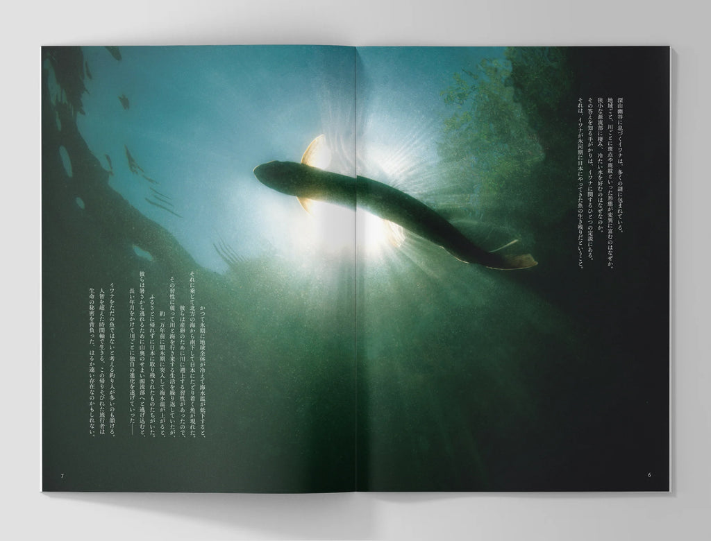 ミルクの中のイワナ film book
