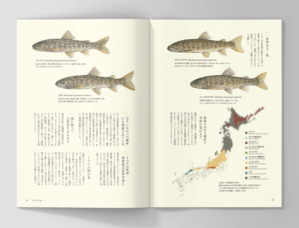 ミルクの中のイワナ film book