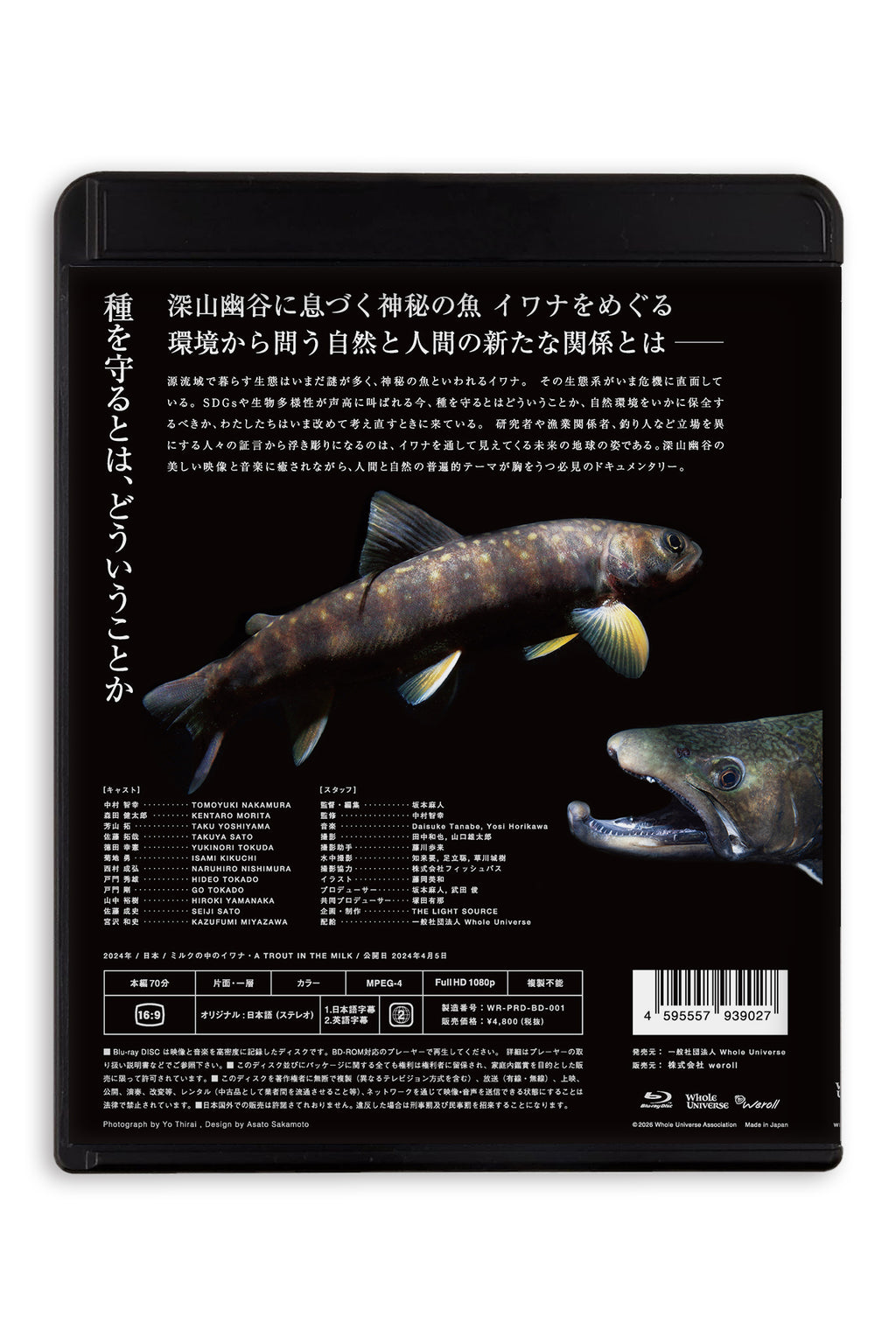 『ミルクの中のイワナ』DVD & Blu-ray
