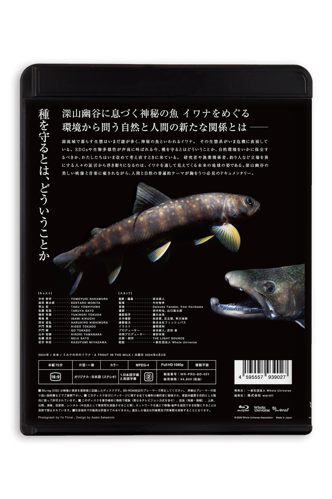『ミルクの中のイワナ』DVD & Blu-ray