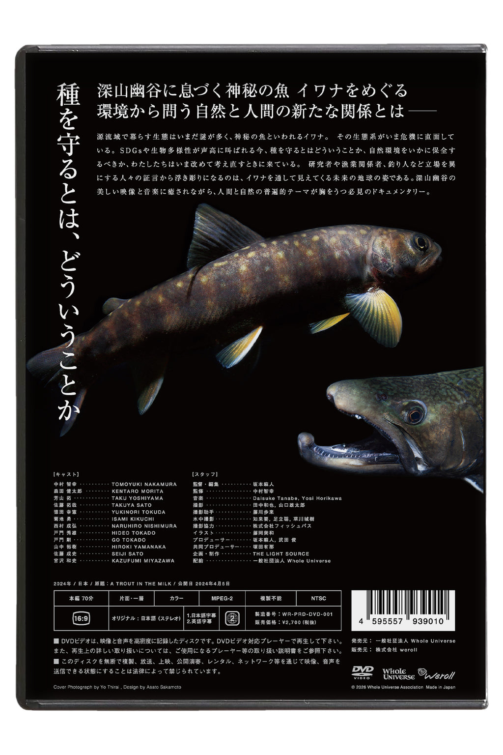 『ミルクの中のイワナ』DVD & Blu-ray