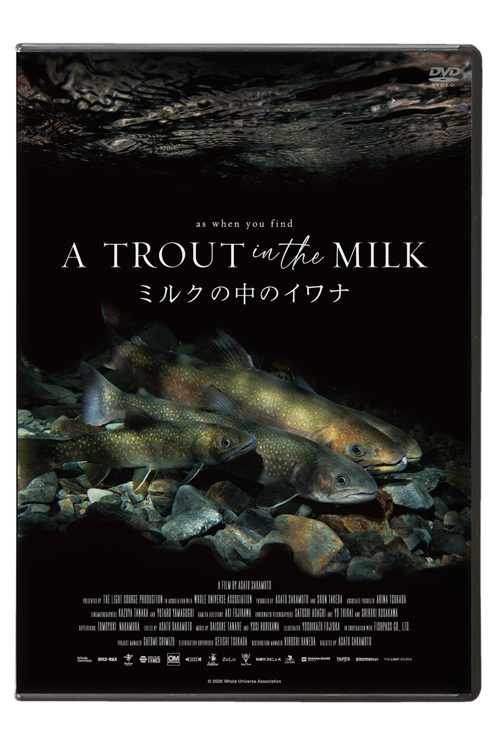 『ミルクの中のイワナ』DVD & Blu-ray