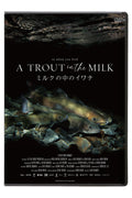 『ミルクの中のイワナ』DVD & Blu-ray