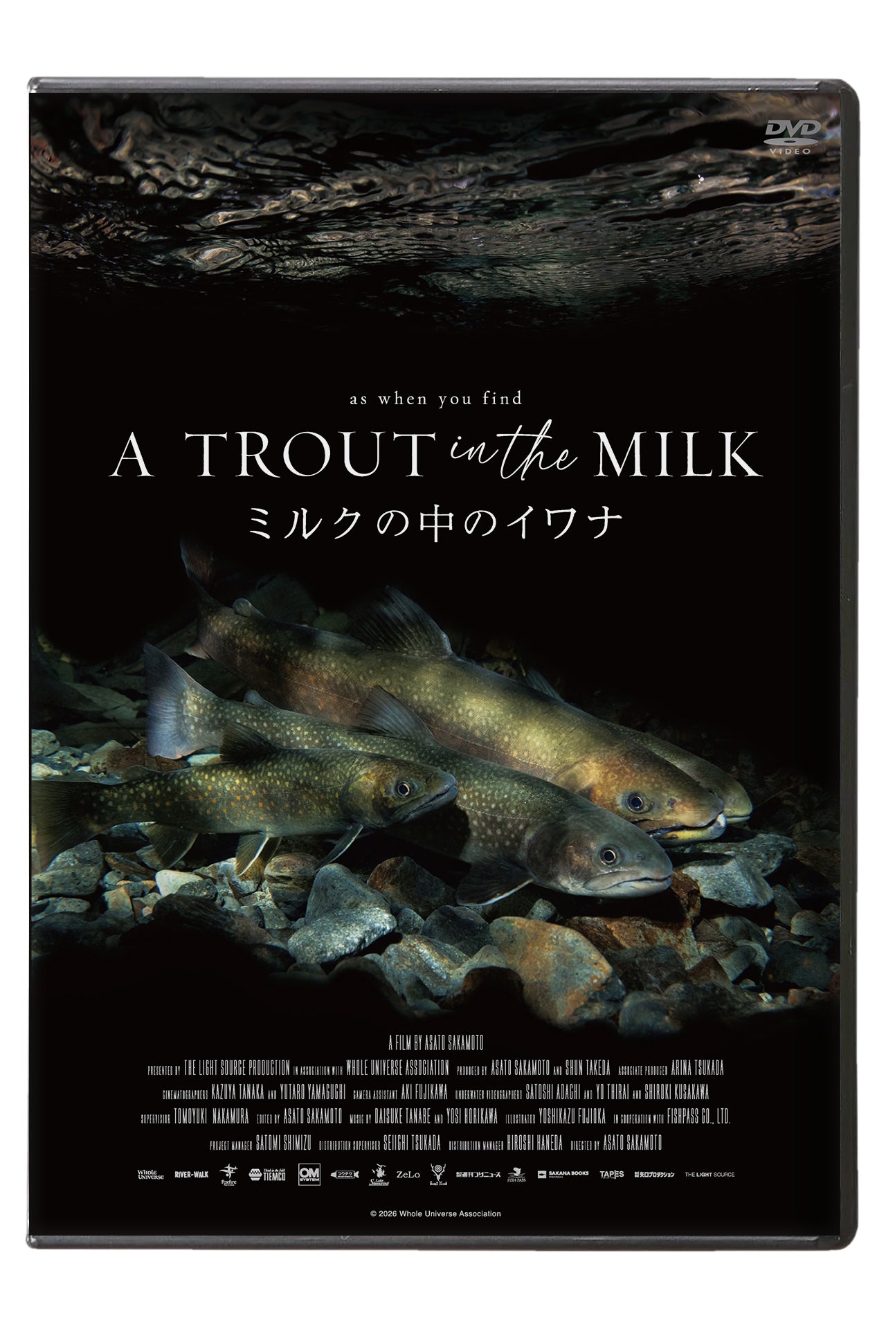 『ミルクの中のイワナ』DVD & Blu-ray