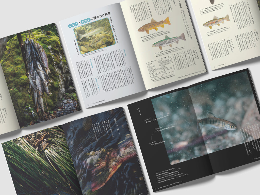 サクラマスのラストワルツ film book